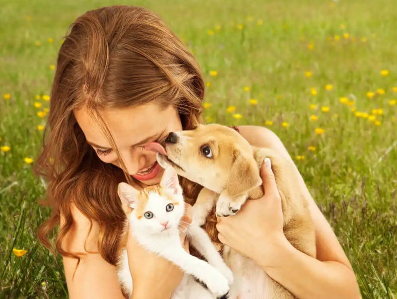 Do you love your pet more than some people around you?