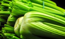 7 Incredible Benefits Of Celery That You Did Not Know
