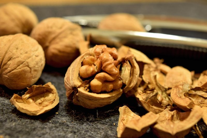 Walnuts And Their 11 Incredible Properties
