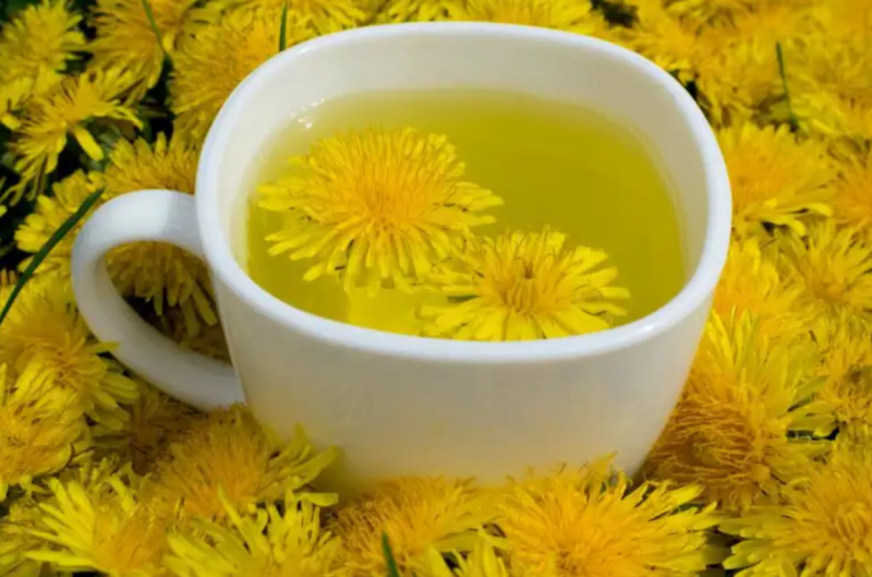 13 Benefits Of Dandelion That You May Not Have Known About