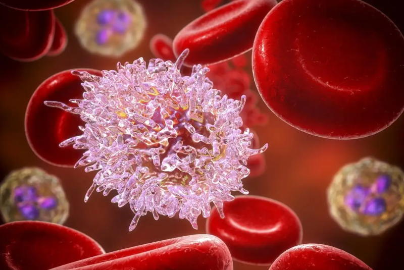 The ten symptoms of Leukemia that you should not ignore