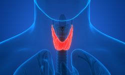 13 Symptoms That Alert You To Thyroid Problems