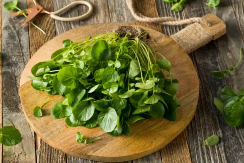 The Benefits Of Consuming Watercress
