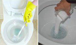 5 Practical Tricks To Remove Scale From The Toilet Quickly