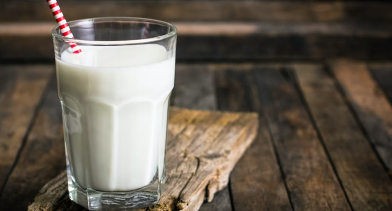 What Is The Best Milk We Can Consume?